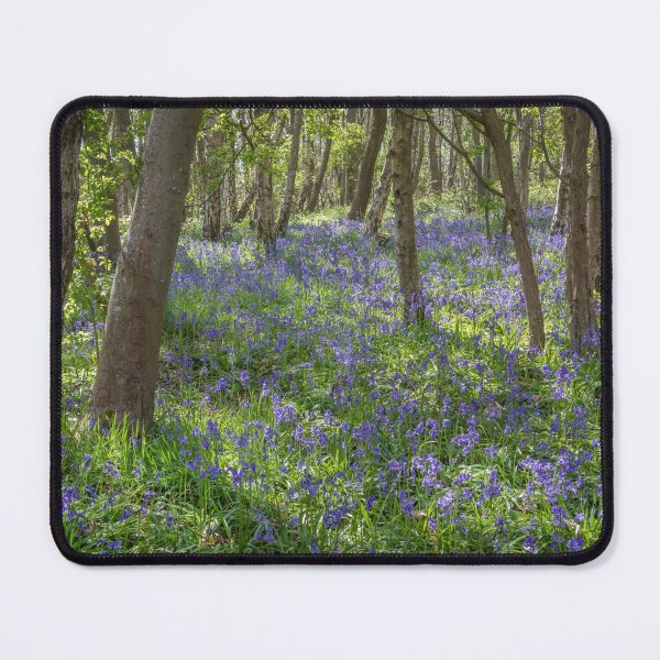 Item preview, Seabrook Bluebells designed and sold by Dave Hare Photography.