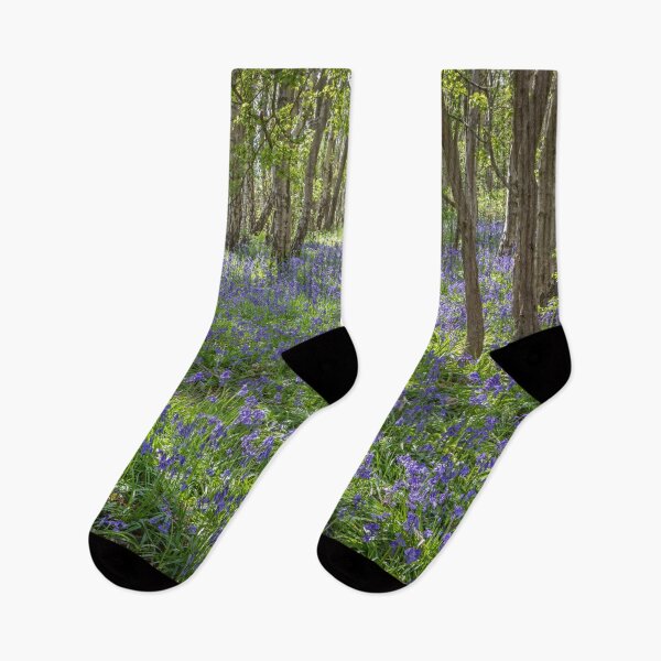 Item preview, Seabrook Bluebells designed and sold by Dave Hare Photography.