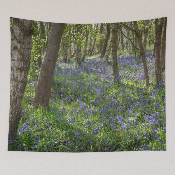 Item preview, Seabrook Bluebells designed and sold by Dave Hare Photography.