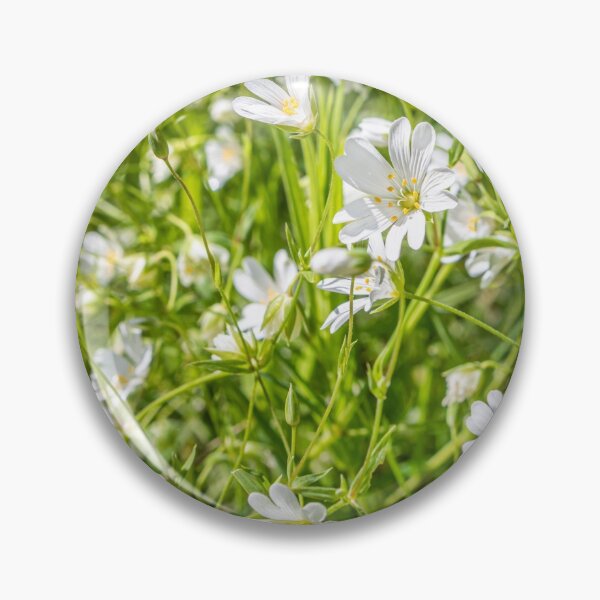 Item preview, White Anenomes designed and sold by Dave Hare Photography.