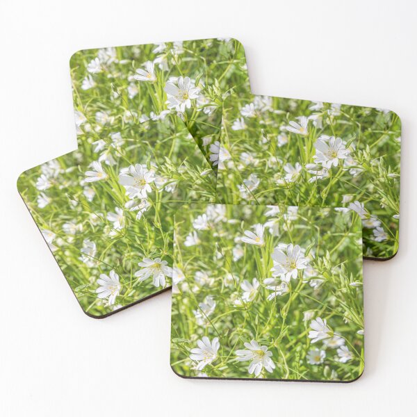 Item preview, White Anenomes designed and sold by Dave Hare Photography.