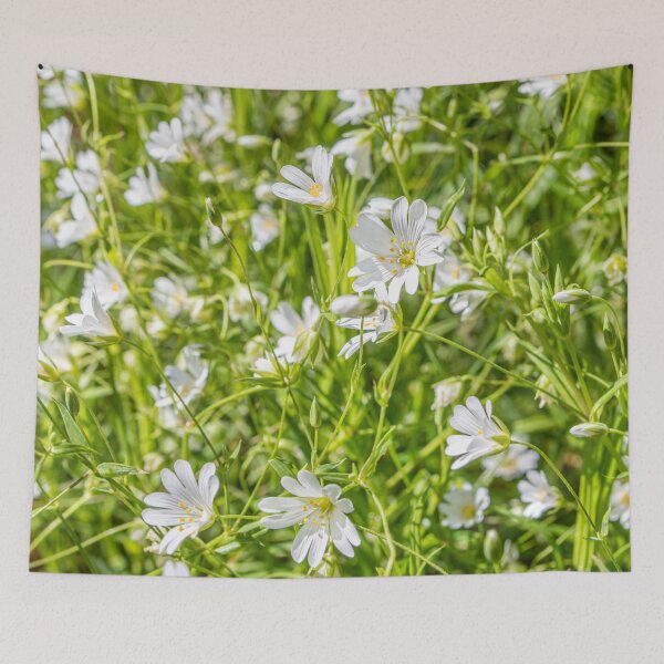 Item preview, White Anenomes designed and sold by Dave Hare Photography.