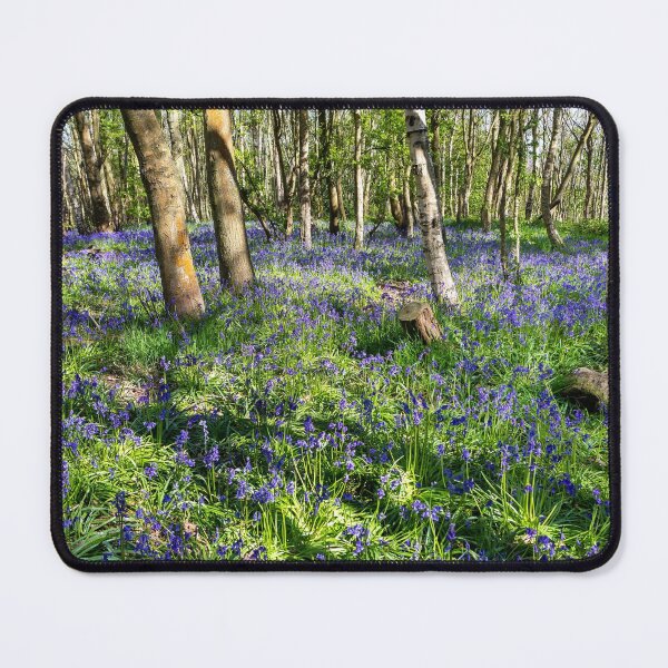 Item preview, A carpet of bluebells designed and sold by Dave Hare Photography.