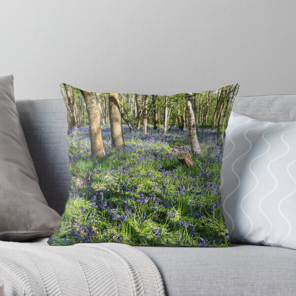 Item preview, A carpet of bluebells  designed and sold by Dave Hare Photography.