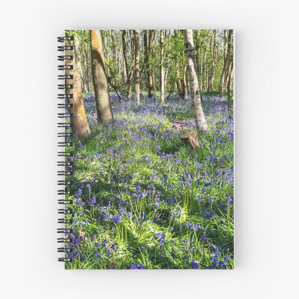 Item preview, A carpet of bluebells  designed and sold by Dave Hare Photography.