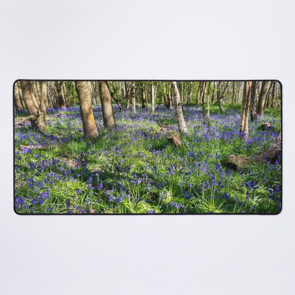 Item preview, A carpet of bluebells designed and sold by Dave Hare Photography.