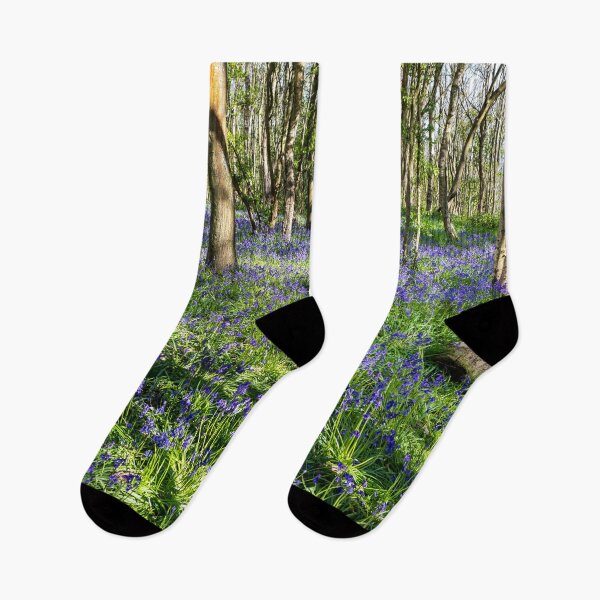Item preview, A carpet of bluebells  designed and sold by Dave Hare Photography.
