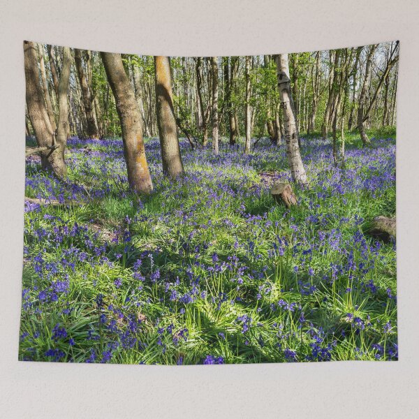 Item preview, A carpet of bluebells  designed and sold by Dave Hare Photography.