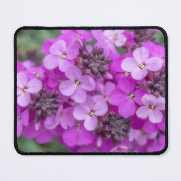Item preview, Small Purple Flowers designed and sold by Dave Hare Photography.