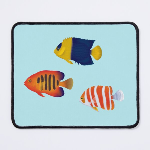 Item preview, Dwarf Angelfish Trio designed and sold by Scuba-Div3r.