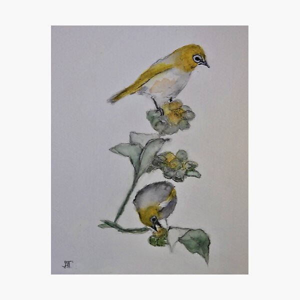 Item preview, Silvereyes on Wild Tobacco designed and sold by annettetyson.