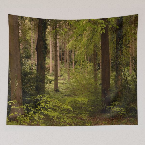 Item preview, Kentish Woodland designed and sold by Dave Hare Photography.