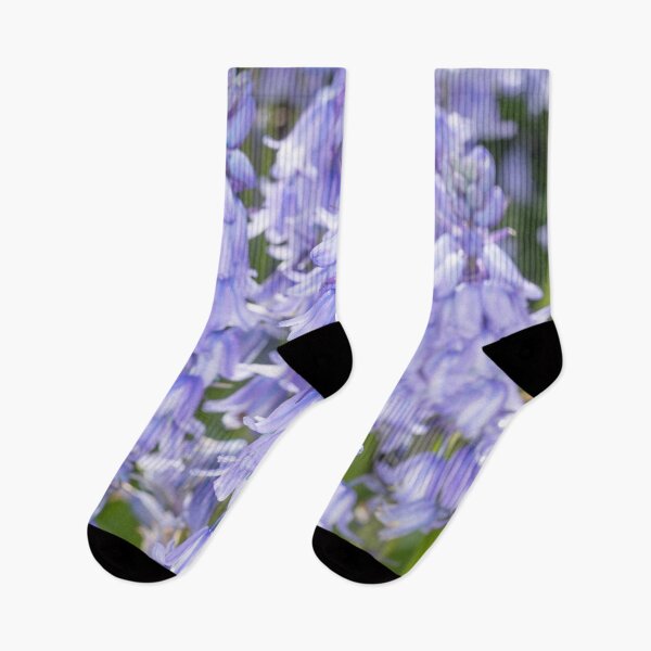 Item preview, Bluebell Flora designed and sold by Dave Hare Photography.