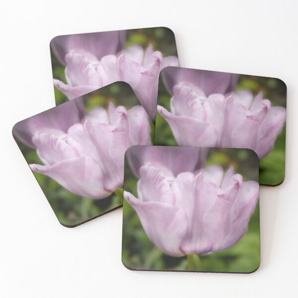 Item preview, Pretty Garden Flower designed and sold by Dave Hare Photography.