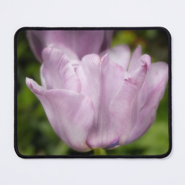 Item preview, Pretty Garden Flower designed and sold by Dave Hare Photography.