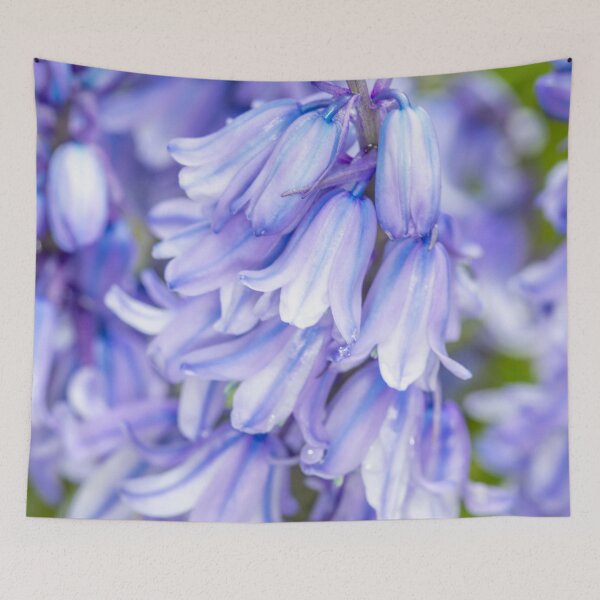 Item preview, Blue Blue Bluebells designed and sold by Dave Hare Photography.