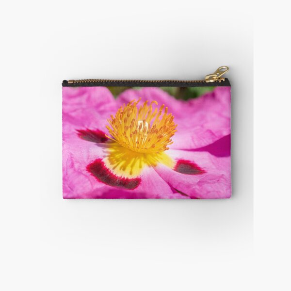 Item preview, Cistus albidus designed and sold by Dave Hare Photography.