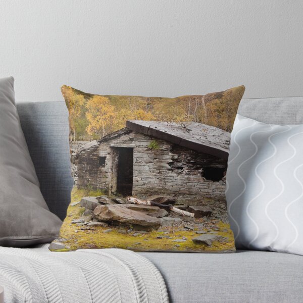 Item preview, Derelict Stone Cottage designed and sold by Dave Hare Photography.