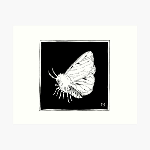 White Moth Art Print