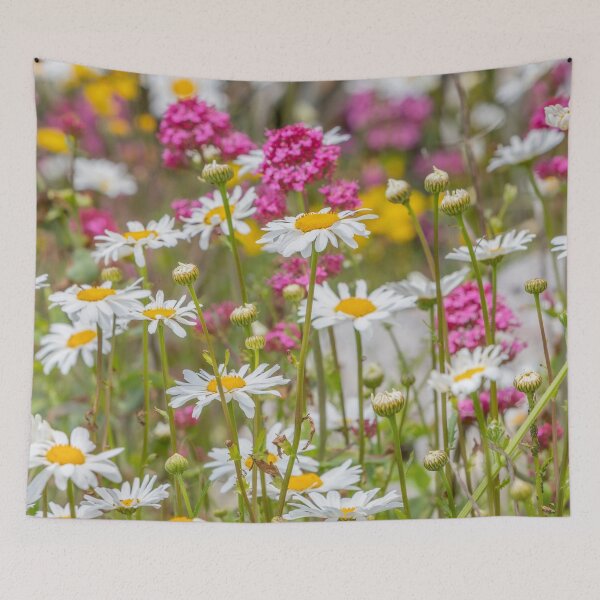 Item preview, Wild Daisies designed and sold by Dave Hare Photography.