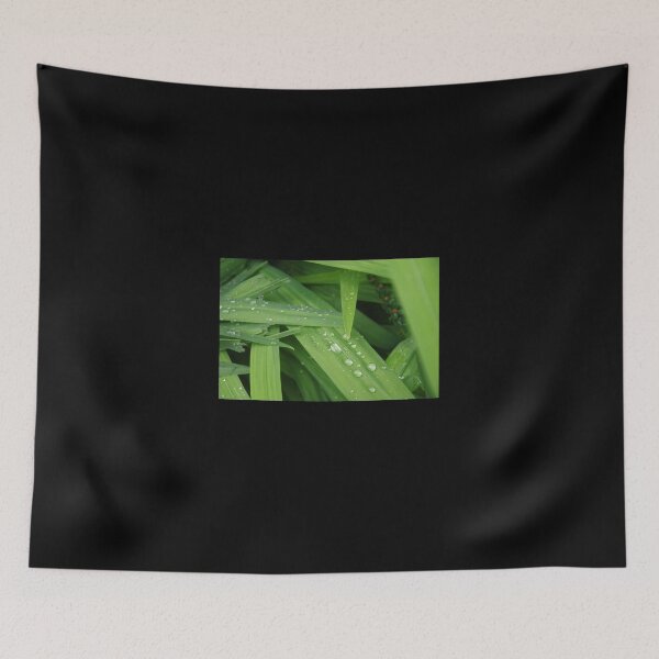 Item preview, Raindrops on Crocosmia designed and sold by lezvee.