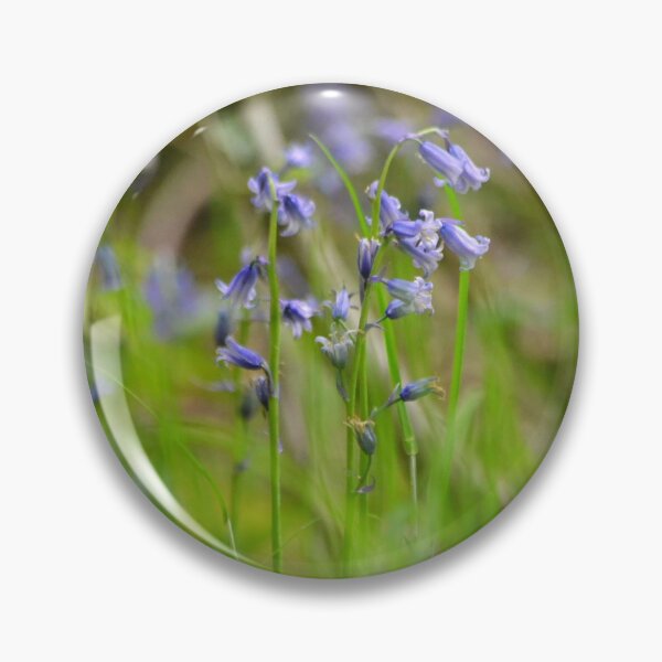 Item preview, Brilliant wild Bluebells Macro Close up Photography Print designed and sold by Esther Hutchcroft.