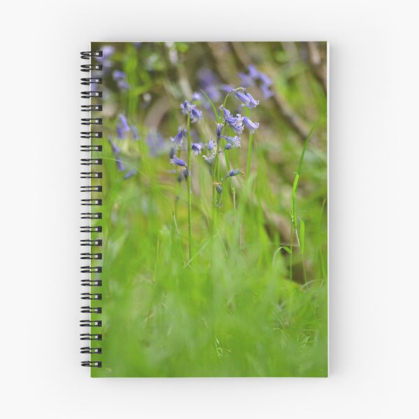 Item preview, Brilliant wild Bluebells Macro Close up Photography Print designed and sold by Esther Hutchcroft.