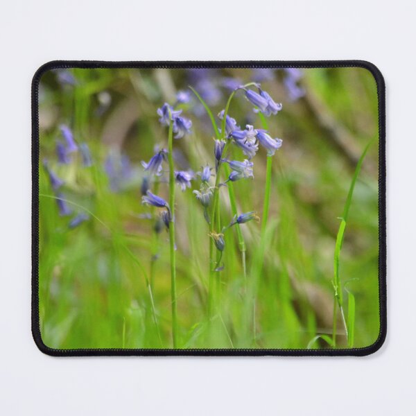 Item preview, Brilliant wild Bluebells Macro Close up Photography Print designed and sold by Esther Hutchcroft.