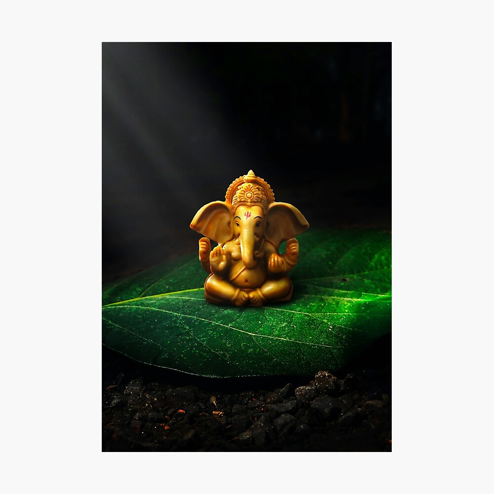 Beautiful Ganesh, Cute god ganesha T-shirt