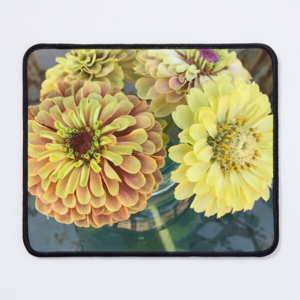 Item preview, Queen Lime Blush Zinnia designed and sold by Boum04.
