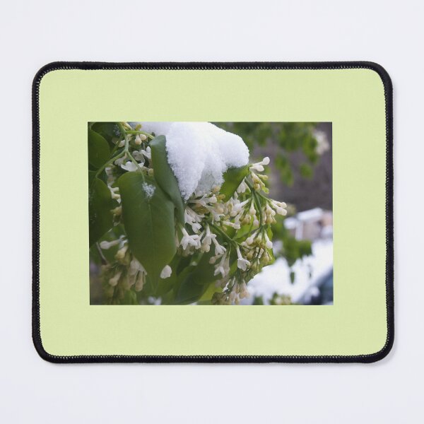 Item preview, Spring Surprise designed and sold by chstudios.