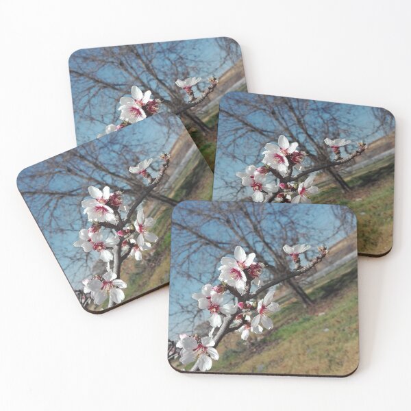 Item preview, start of spring time lovely white flowers  designed and sold by Nadia4vdm.