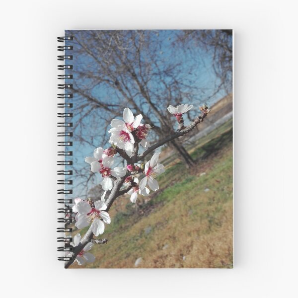 Item preview, start of spring time lovely white flowers  designed and sold by Nadia4vdm.