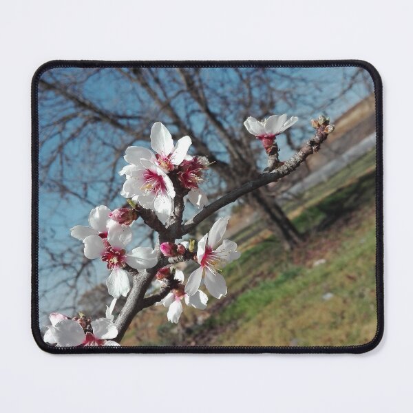 Item preview, start of spring time lovely white flowers designed and sold by Nadia4vdm.