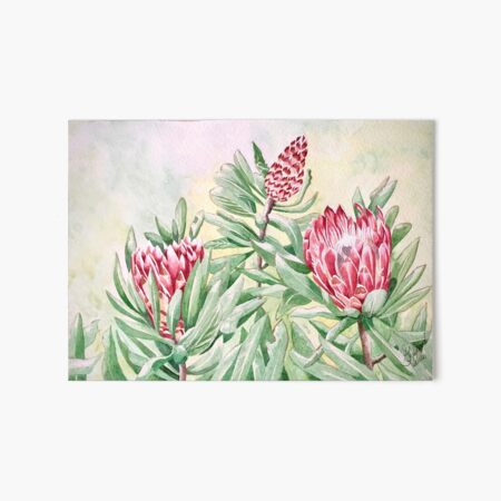 Pink Proteas growing wild in field Art Board Print