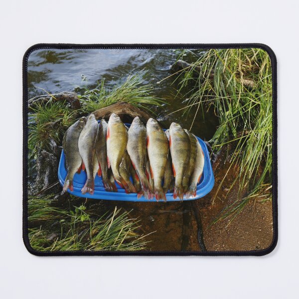 Item preview, pile of freshly caught perch washed and placed on a tray  designed and sold by mrivserg.