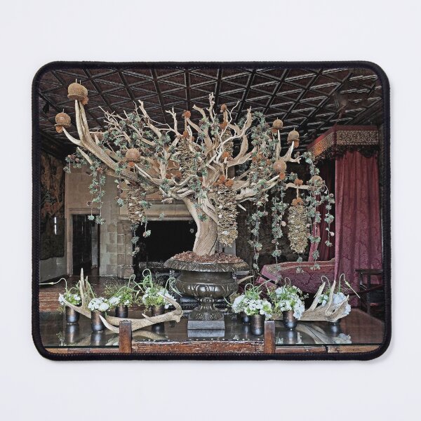 Item preview, r2377/ étrange Arbre au Château de Chenonceau f  - Okaio Création  Olavia-Olao 2020 designed and sold by o.okaïo.