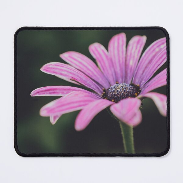 Item preview, Moody Purple Flower - Japanese flower macro designed and sold by Jordan McChesney.