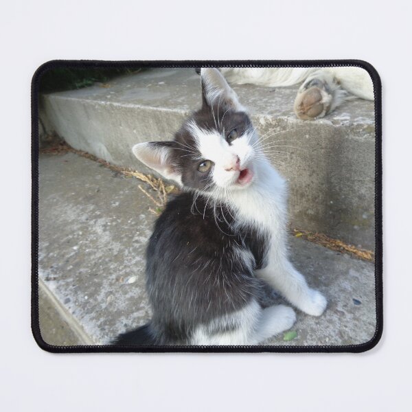 Item preview, This is Max-one very spoiled cat designed and sold by Ana Belaj.