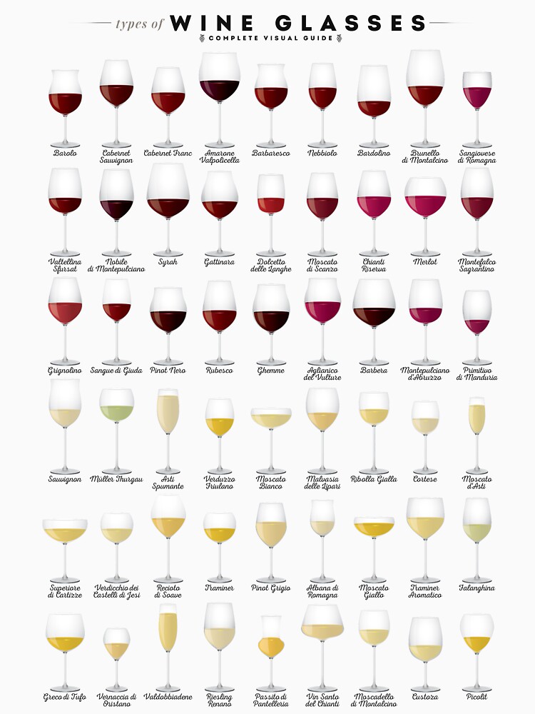 7 Types of Wine Glasses - Different Types of Wine Glasses