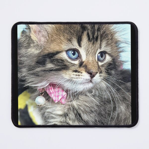 Item preview, Tabby kitten designed and sold by Fluffycat2020.