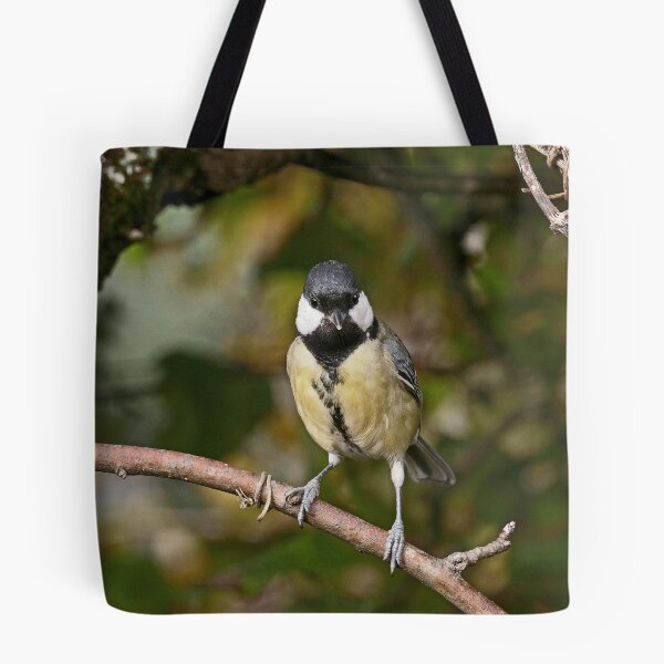 Item preview, r1039 / New Finition 2021  -- Mésange -  (c)(t) Olavia-Olao Okaio Créations designed and sold by o.okaïo.