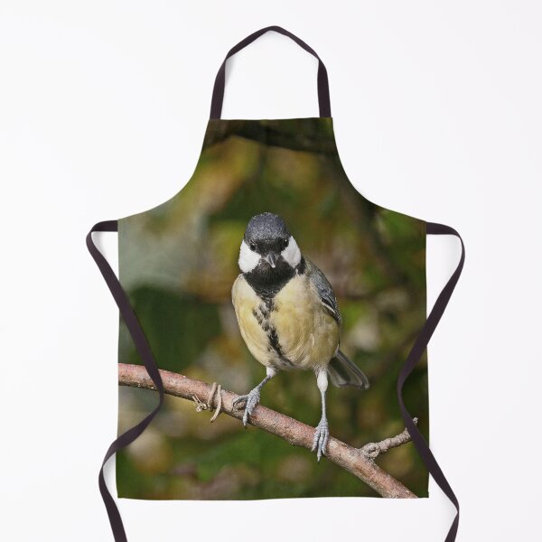 Item preview, r1039 / New Finition 2021  -- Mésange -  (c)(t) Olavia-Olao Okaio Créations designed and sold by o.okaïo.