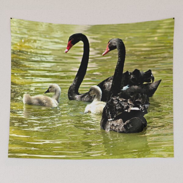 Item preview, Swans and Cygnets Black Swan Family designed and sold by Anna Lemos.
