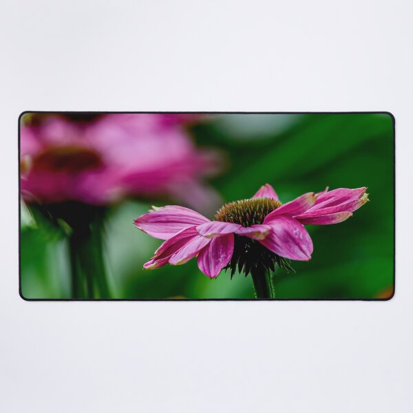Item preview, Purple Cone Flower designed and sold by Michael Cummings.