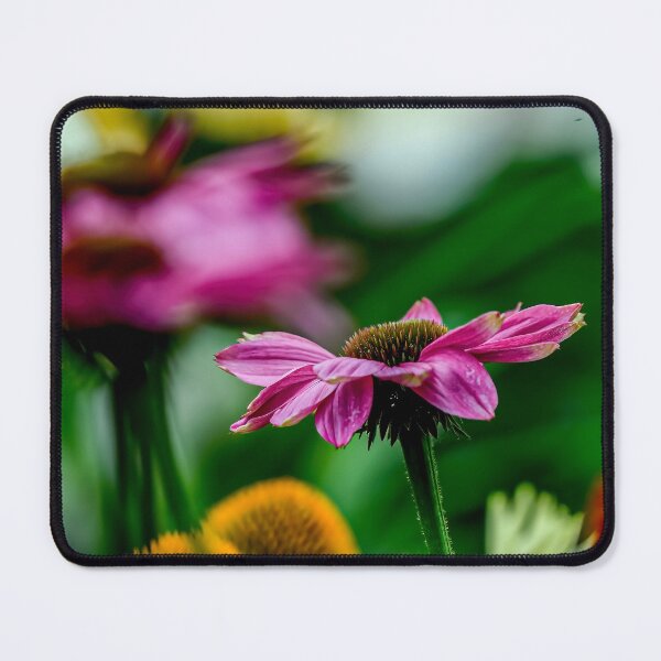 Item preview, Purple Cone Flower designed and sold by Michael Cummings.