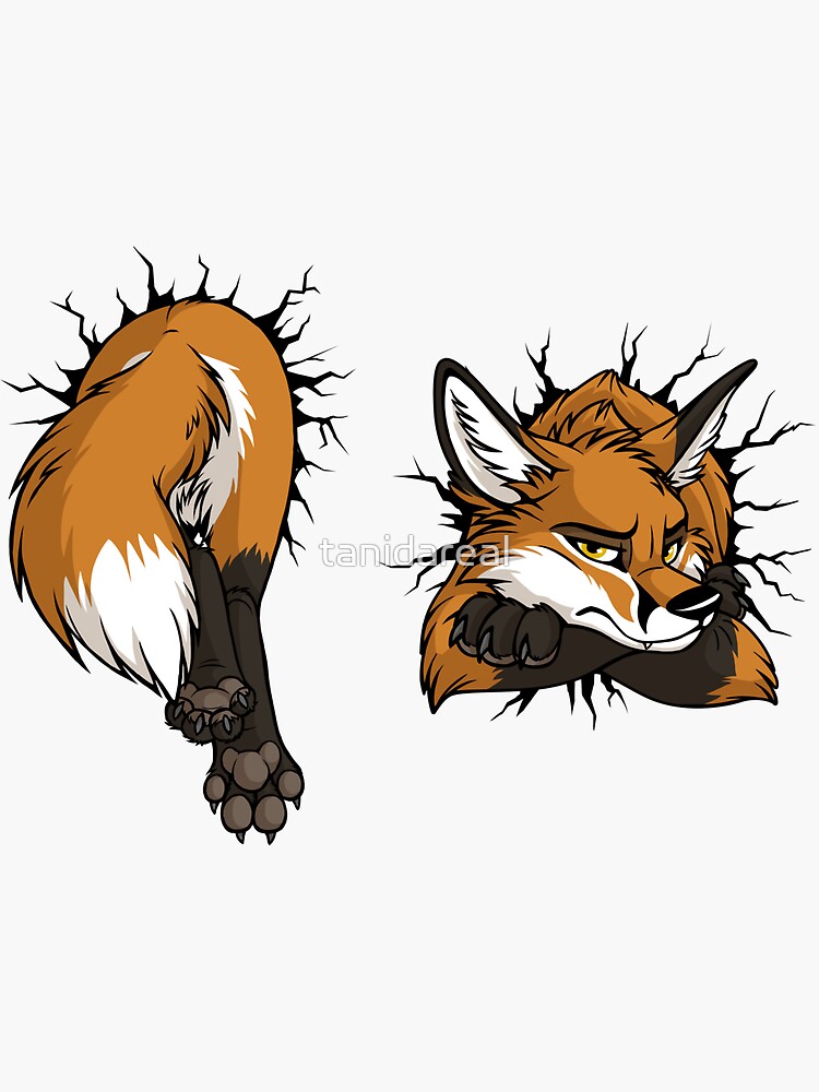 Thumbnail 3 of 3, Sticker, Front & Back - STUCK Red Fox (black cracks) designed and sold by tanidareal.