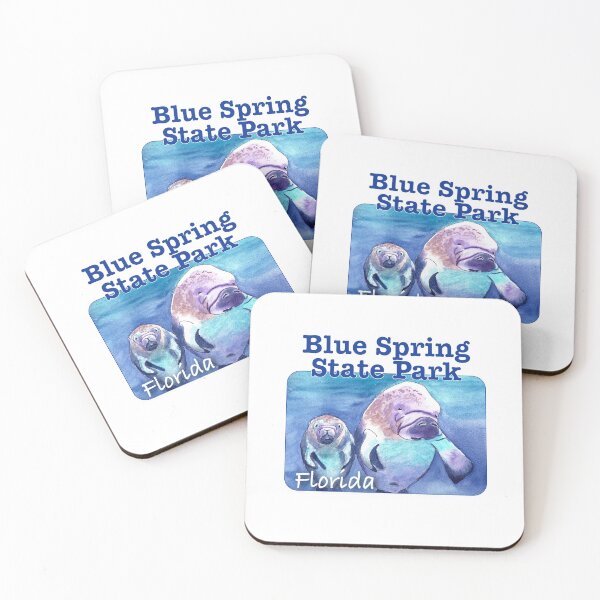 Item preview, Blue Spring State Park, Florida designed and sold by MMc Buck.
