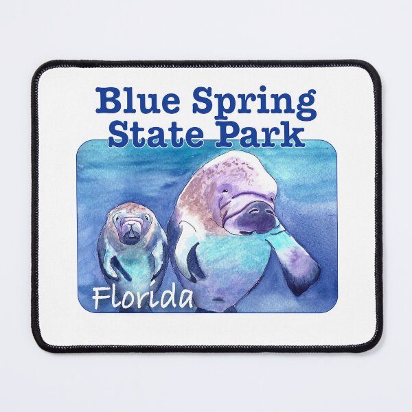 Item preview, Blue Spring State Park, Florida designed and sold by MMc Buck.