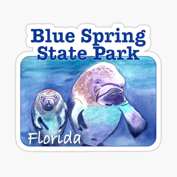 Item preview, Blue Spring State Park, Florida designed and sold by MMc Buck.